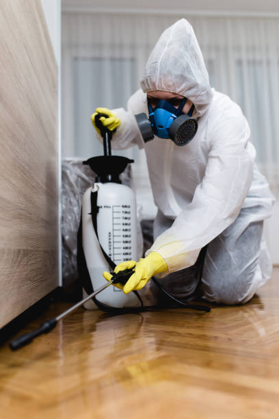 Pest Control for Hotels in Sterling, GA